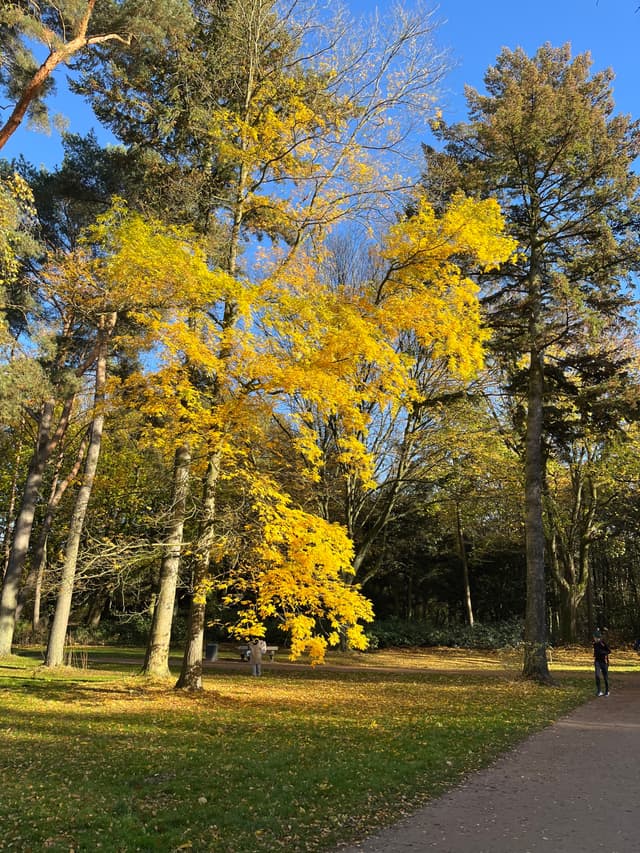 03 NOV 24