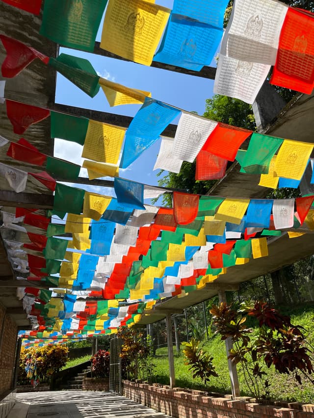 26 JUN 24